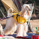 Миниатюра изображения товара Дождевик для животных Puppia Wilderness / PLRA-JM9320-YE-S (S, желтый)