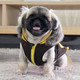 Миниатюра изображения товара Жилетка для животных Puppia Orson / PARD-VT1569-BR-L (L, коричневый)