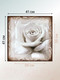 Миниатюра изображения товара Картина Декарт Нежная белая роза 8Л1742 (в раме)