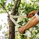 Миниатюра изображения товара Сучкорез механический Fiskars L32 (1026930)