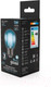 Миниатюра изображения товара Лампа Gauss Filament Globe E27 5W 4100K / 105802205