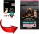 Миниатюра изображения товара Сухой корм для собак Pro Plan Adult OptiDerma Small & Mini с лососем и рисом (3кг)