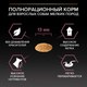 Миниатюра изображения товара Сухой корм для собак Pro Plan Adult OptiDerma Small & Mini с лососем и рисом (3кг)