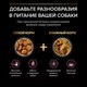 Миниатюра изображения товара Сухой корм для собак Pro Plan Adult OptiDerma Small & Mini с лососем и рисом (3кг)