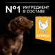 Миниатюра изображения товара Сухой корм для собак Pro Plan Puppy Small & Mini с курицей и рисом (7кг)
