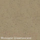 Миниатюра изображения товара Мойка кухонная Zigmund & Shtain Rechteck 600.2 (молодое шампанское)