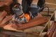 Миниатюра изображения товара Профессиональная угловая шлифмашина AEG Powertools WS 13-125 XE (4935451410)