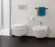 Миниатюра изображения товара Сиденье для унитаза Villeroy & Boch Omnia Architectura 98M9 C101