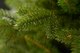 Миниатюра изображения товара Ель искусственная GreenTerra Аляска темная (2.2м)