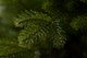 Миниатюра изображения товара Ель искусственная GreenTerra Аляска темная (2.2м)