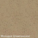 Миниатюра изображения товара Мойка кухонная Zigmund & Shtain Rechteck 780.2 (молодое шампанское)