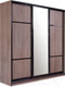 Миниатюра изображения товара Шкаф-купе Евва 24 TTG.02 / АЭП ШК.3 01 (трюфель/венге глянец)