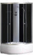 Миниатюра изображения товара Душевая кабина Coliseum Simple T-100 (черный/тонированное стекло)