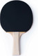 Миниатюра изображения товара Ракетка для настольного тенниса Torres Control 10 TT0001