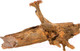 Миниатюра изображения товара Декорация для аквариума Aquael Mangrove Root M / 200292