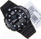 Миниатюра изображения товара Часы наручные мужские Casio AEQ-100W-1AVEF