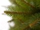 Миниатюра изображения товара Ель искусственная GreenTerra Бовари (2.5м)