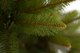 Миниатюра изображения товара Ель искусственная GreenTerra Бовари (2.5м)