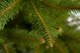 Миниатюра изображения товара Ель искусственная GreenTerra Бовари (2.5м)