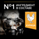 Миниатюра изображения товара Сухой корм для собак Pro Plan Adult Medium с курицей и рисом (14кг)