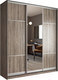 Миниатюра изображения товара Шкаф-купе Евва 203 TS.02 / АЭП ШК.3 02 (трюфель/серебро)
