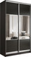 Миниатюра изображения товара Шкаф-купе Евва 120 VS.01 / АЭП ШК.2 03 (венге/серебро)