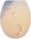 Миниатюра изображения товара Сиденье для унитаза Bisk Snail Foto 04503 (стопа)