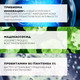 Миниатюра изображения товара Бальзам для тела La Roche-Posay Cicaplast B5+ успокаивающий мультивосстанавливающий (40мл)