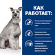 Миниатюра изображения товара Сухой ветеринарный корм для собак Hill's Prescription Diet Digestive Care i/d Low Fat (1.5кг)