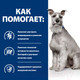 Миниатюра изображения товара Сухой ветеринарный корм для собак Hill's Prescription Diet Digestive Care i/d Low Fat (1.5кг)