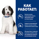 Миниатюра изображения товара Сухой ветеринарный корм для собак Hill's Prescription Diet Urinary Care c/d Multicare Chicken (12кг)