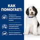 Миниатюра изображения товара Сухой ветеринарный корм для собак Hill's Prescription Diet Urinary Care c/d Multicare Chicken (12кг)