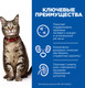 Миниатюра изображения товара Сухой корм для кошек Hill's Prescription Diet Urinary Care c/d Multicare Chicken / 605889 (8кг)
