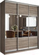 Миниатюра изображения товара Шкаф-купе Евва 233 TS.01 / АЭП ШК.3.01 (трюфель/серебро)