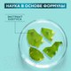 Миниатюра изображения товара Спрей после загара Garnier Ambre Solaire освежающий с экстрактом кактуса (200мл)