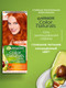 Миниатюра изображения товара Крем-краска для волос Garnier Color Naturals Creme 7.40 (пленительный медный)