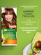 Миниатюра изображения товара Крем-краска для волос Garnier Color Naturals Creme 6.34 (карамель)
