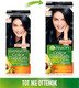 Миниатюра изображения товара Крем-краска для волос Garnier Color Naturals Creme 2.10 (иссиня черный)