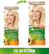 Миниатюра изображения товара Крем-краска для волос Garnier Color Naturals Creme 10 (белое солнце)