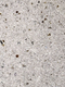 Миниатюра изображения товара Жидкие обои Silk Plaster Санд 143 С