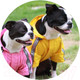 Миниатюра изображения товара Дождевик для животных Puppia Base Jumper / PEAF-RM03-BK-XL (черный)