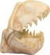 Миниатюра изображения товара Декорация для аквариума Deksi Череп динозавра №1003