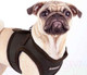 Миниатюра изображения товара Шлея-жилетка для животных Puppia Soft Vest / PAHA-AH305-BK-L (черный)