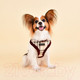 Миниатюра изображения товара Шлея-жилетка для животных Puppia Dean Harness A / PASD-HA1657-BE-XL (бежевый)