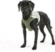 Миниатюра изображения товара Жилетка для животных Scruffs Insect Shield / 937058 (M)