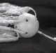 Миниатюра изображения товара Люстра Lussole LGO Kenner GRLSP-8269
