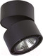 Миниатюра изображения товара Спот Lightstar Forte Muro 214857