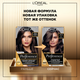 Миниатюра изображения товара Гель-краска для волос L'Oreal Paris Preference 3 Бразилия (темно-каштановый)