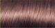 Миниатюра изображения товара Гель-краска для волос L'Oreal Paris Preference 7.1 Исландия (пепельно-русый)