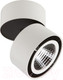 Миниатюра изображения товара Спот Lightstar Forte Muro 214850